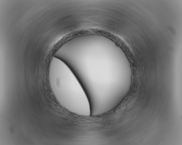 X0000114240871200910091347