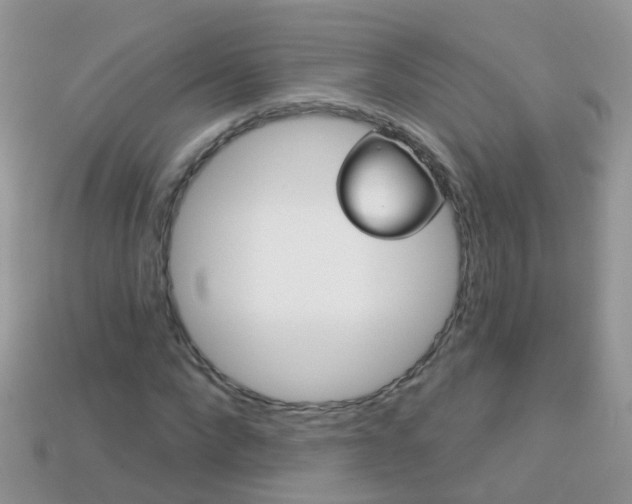 X0000114240872200910091347
