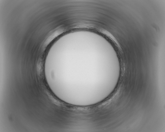 X0000114240874200910091347