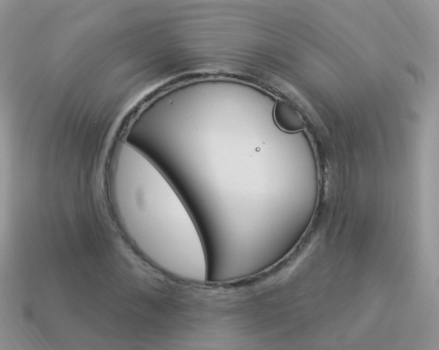 X0000114240876200910091347