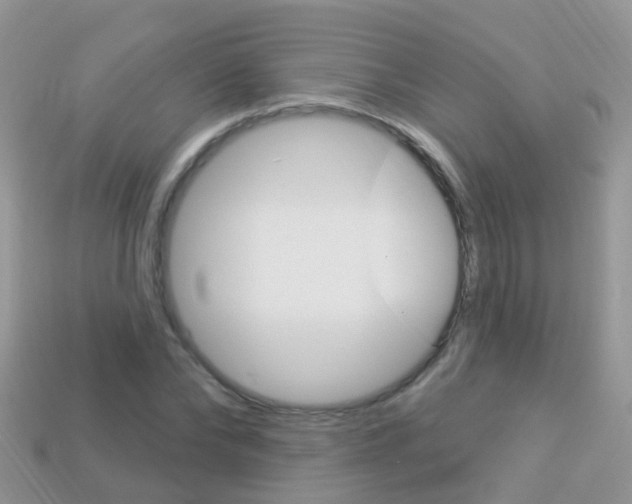X0000114240878200910091347
