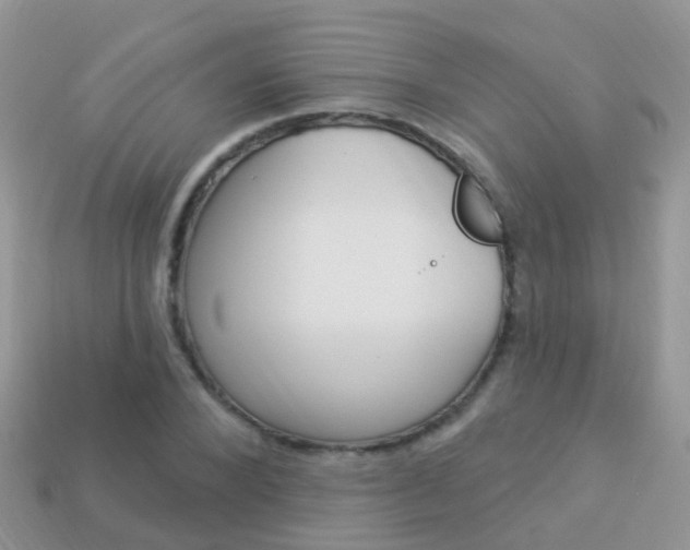 X0000114240880200910091347