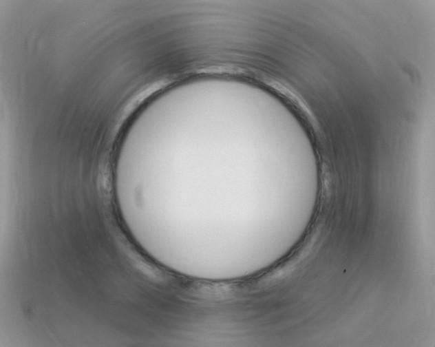 X0000114240882200910091347