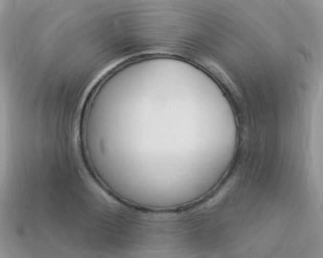 X0000114240884200910091347
