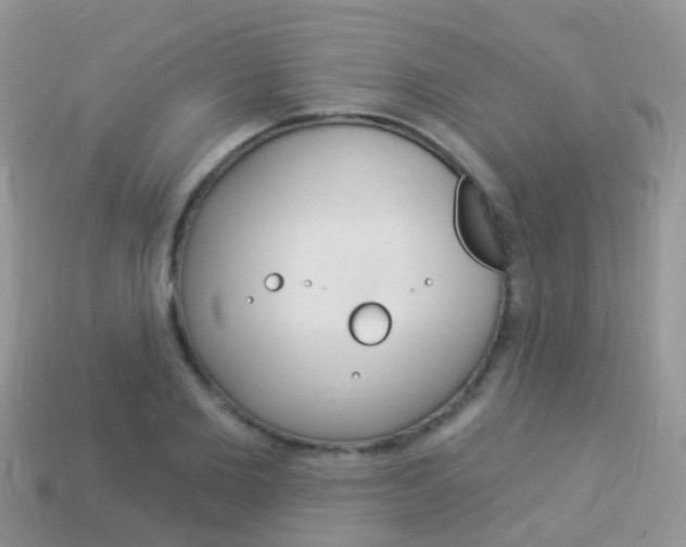 X0000114240885200910091347