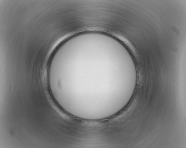 X0000114240886200910091347
