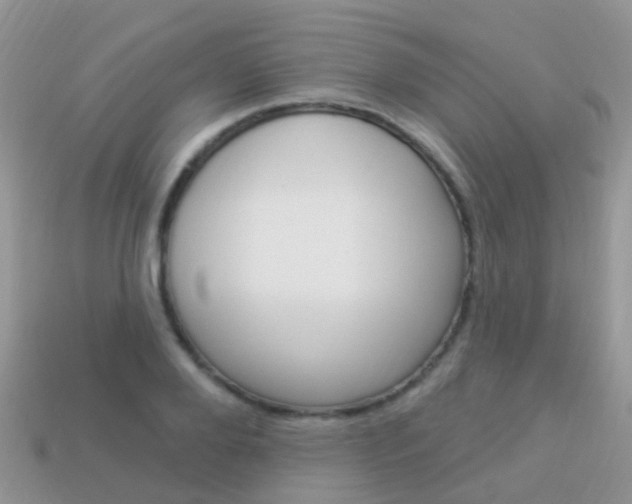 X0000114240888200910091347