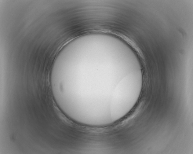 X0000114240889200910091347