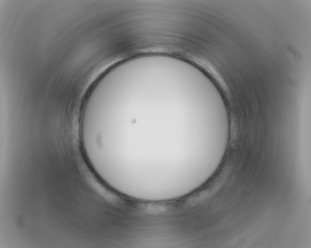 X0000114240890200910091346