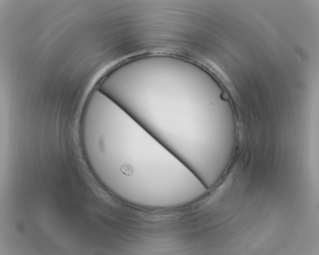 X0000114240891200910091346