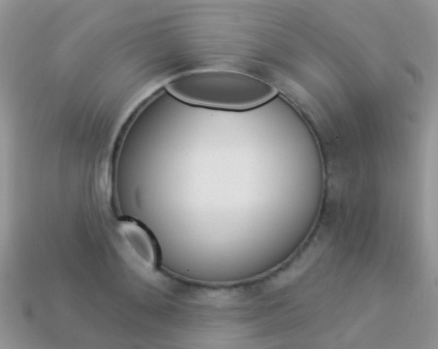 X0000114240892200910091346
