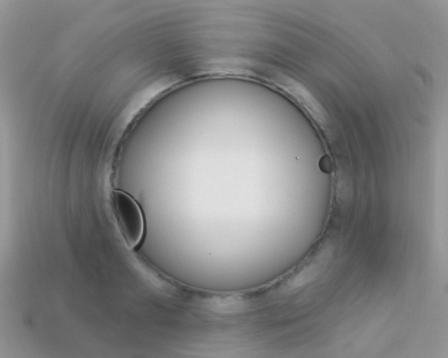 X0000114240893200910091346
