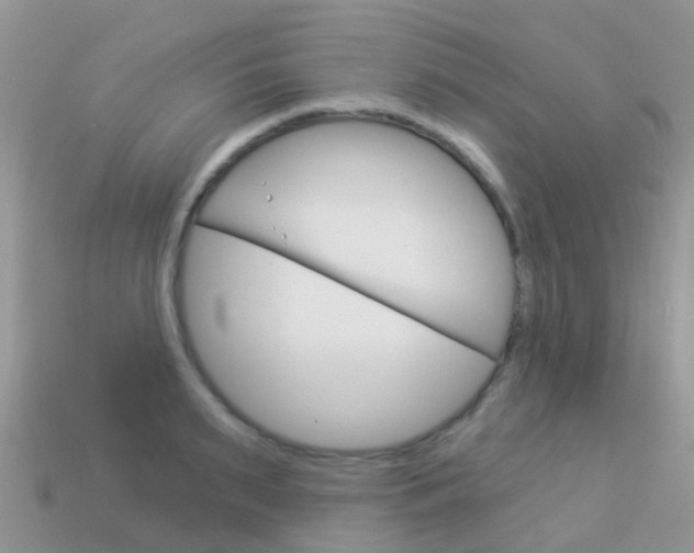 X0000114240895200910091346