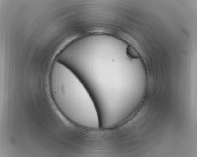 X0000114240898200910091346
