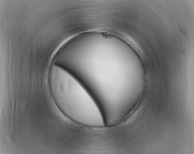 X0000114240900200910091346