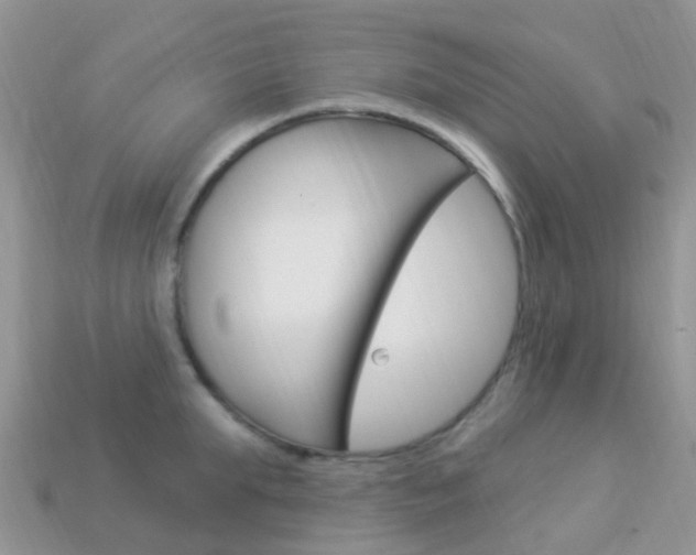 X0000114240903200910091346