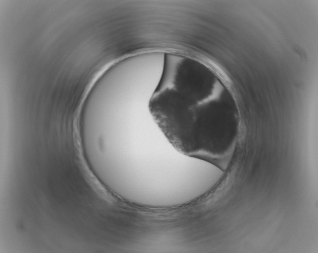 X0000114240907200910091346