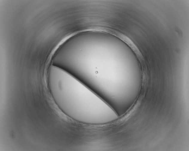 X0000114240908200910091346
