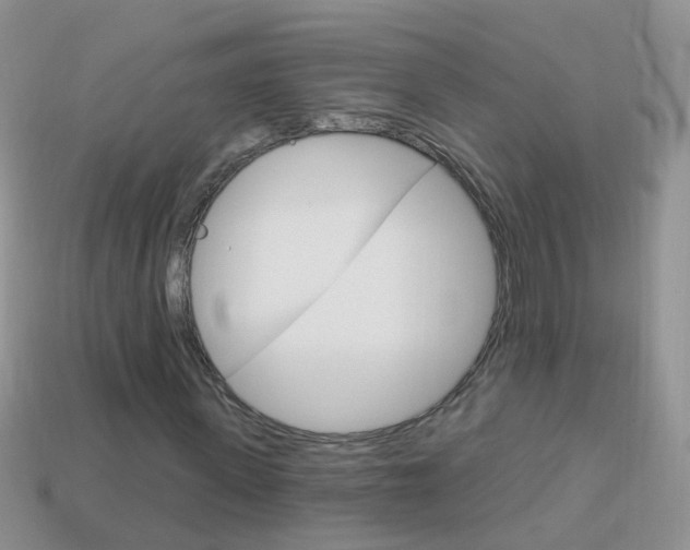 X0000114240915200910091346