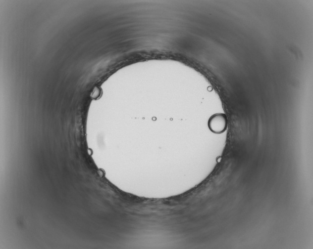 X0000114240918200910091346