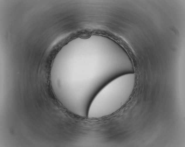 X0000114240919200910091346
