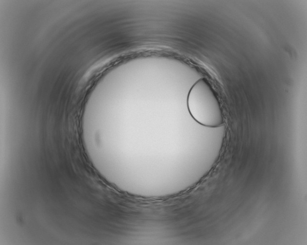 X0000114240920200910091346