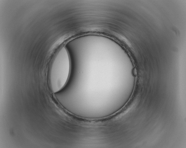 X0000114240922200910091346