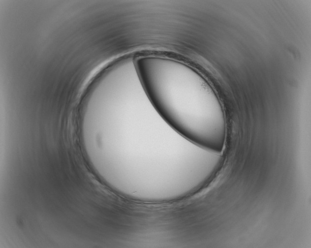 X0000114240926200910091346
