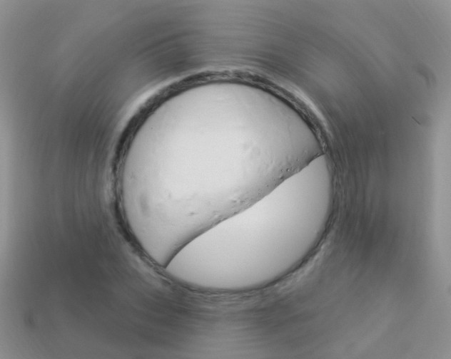 X0000114240927200910091346