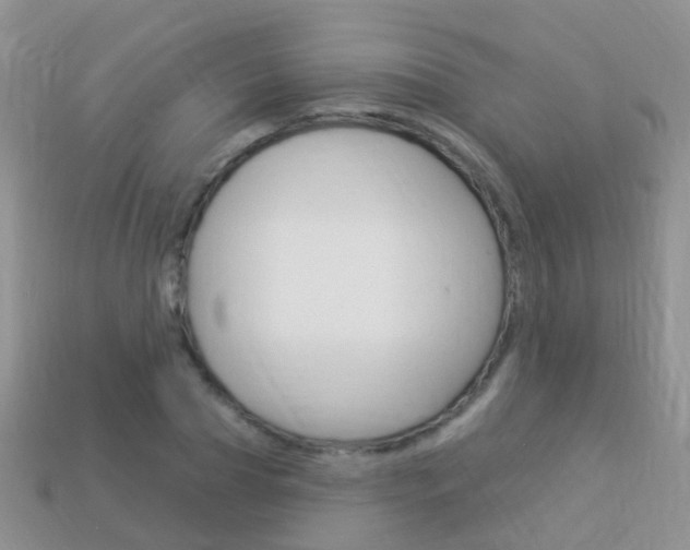 X0000114240929200910091346
