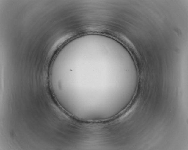 X0000114240930200910091346