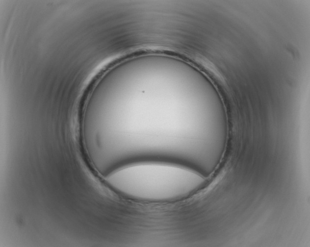 X0000114240934200910091346