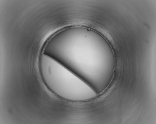 X0000114240936200910091346