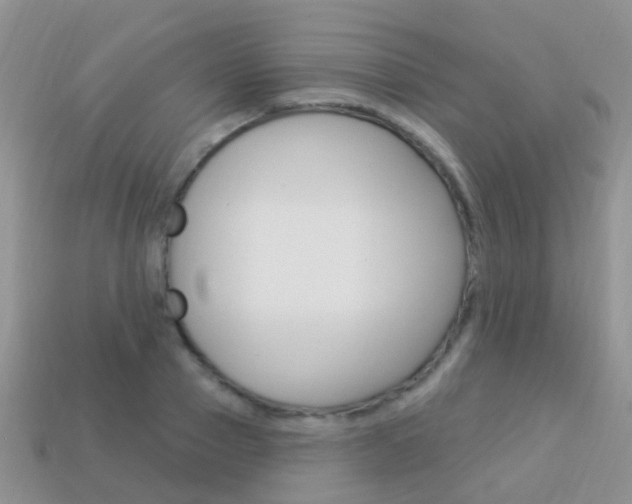 X0000114240937200910091346