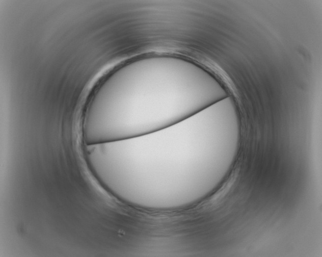 X0000114240939200910091346
