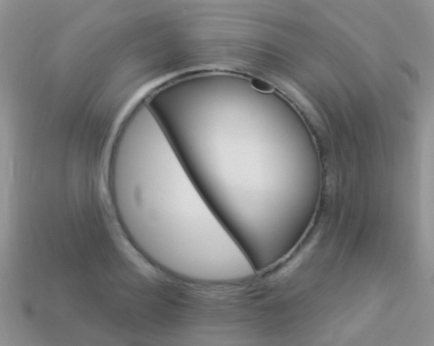 X0000114240940200910091346