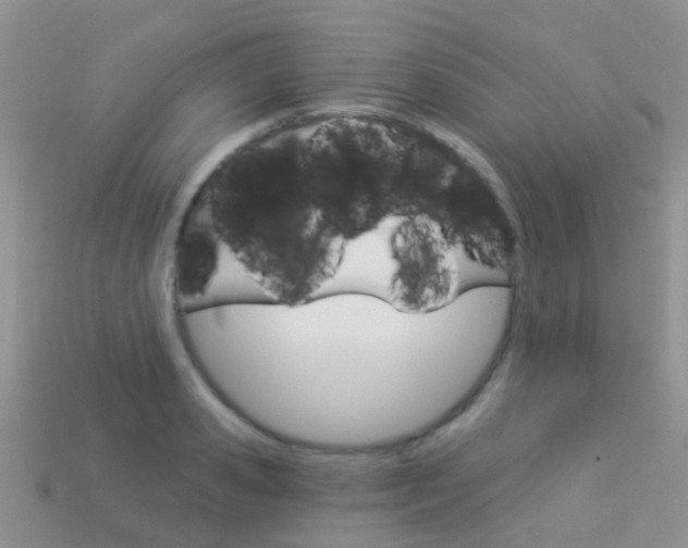 X0000114240941200910091346