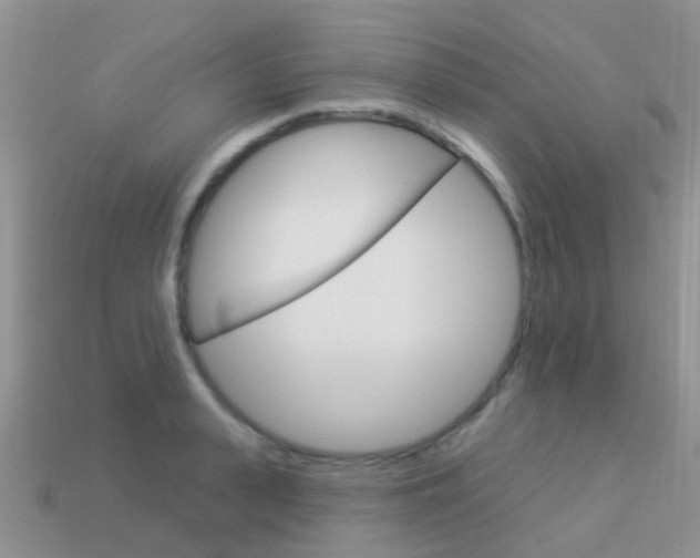 X0000114240943200910091346