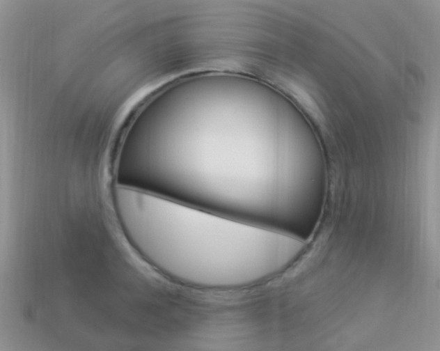 X0000114240944200910091346