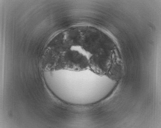 X0000114240945200910091346