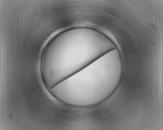 X0000114240947200910091346