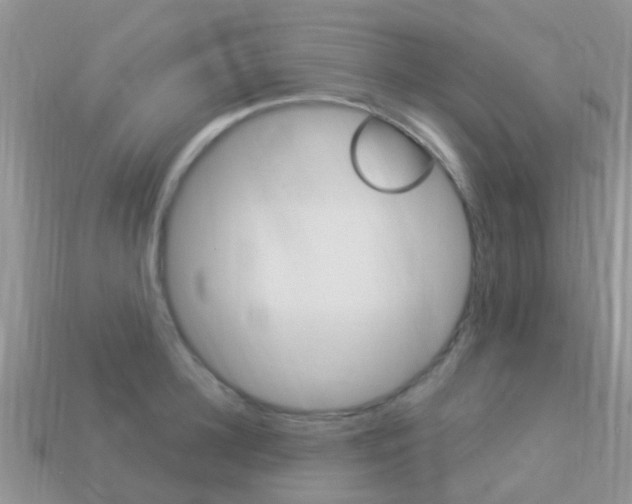 X0000114240948200910091346