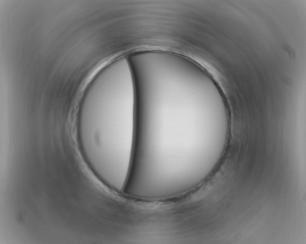 X0000114240949200910091346