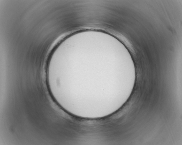 X0000114240950200910091346