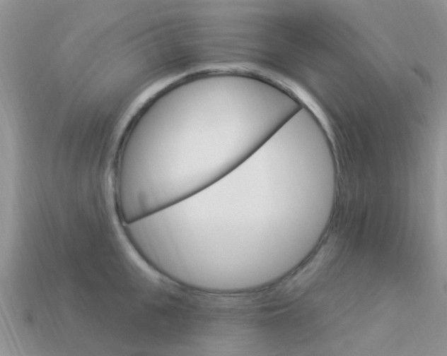 X0000114240951200910091346