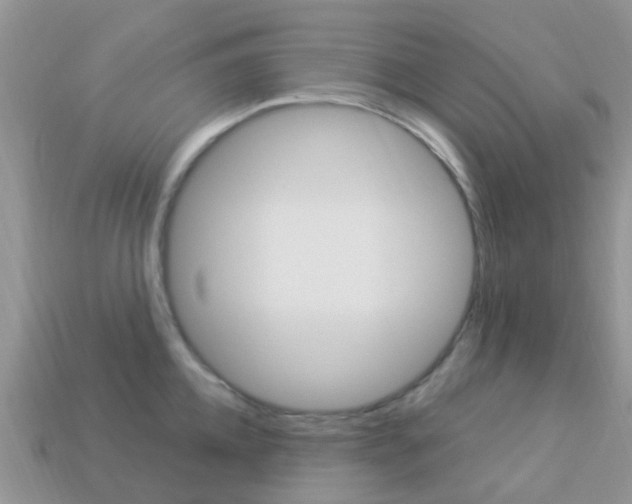 X0000114240952200910091346