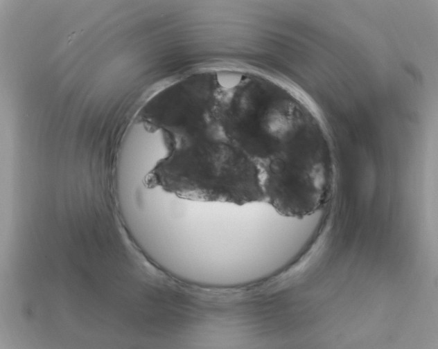 X0000114240953200910091346