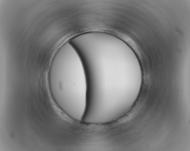 X0000114240954200910091346