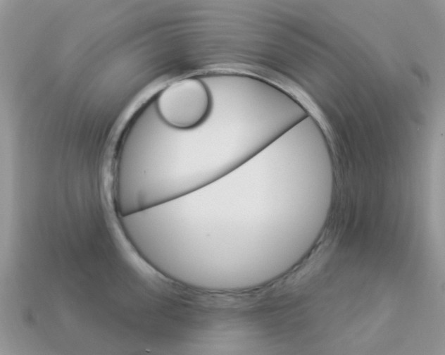 X0000114240955200910091346