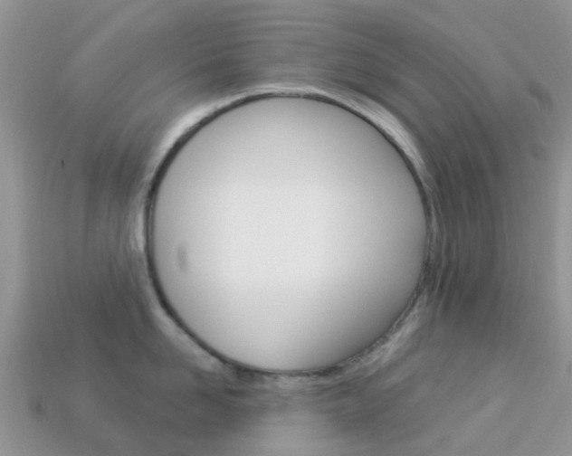 X0000114240958200910091346